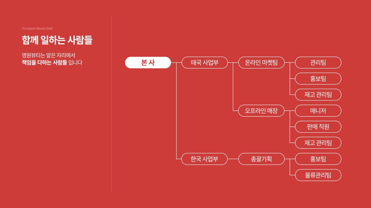 company profile page 4